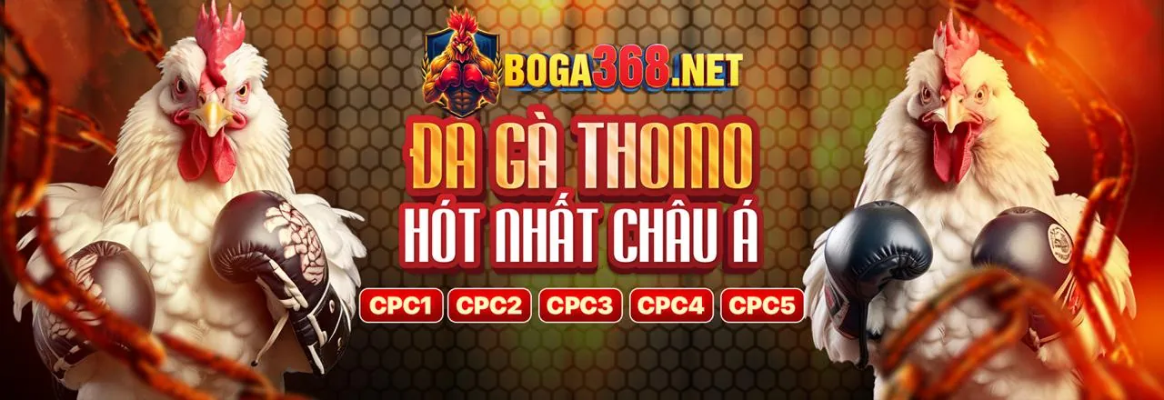 Đá gà trực tuyến tại banca90 khuyến mãi